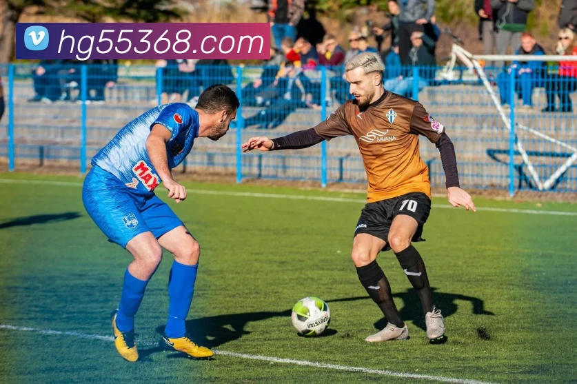 皇冠体育网站入口服务体系